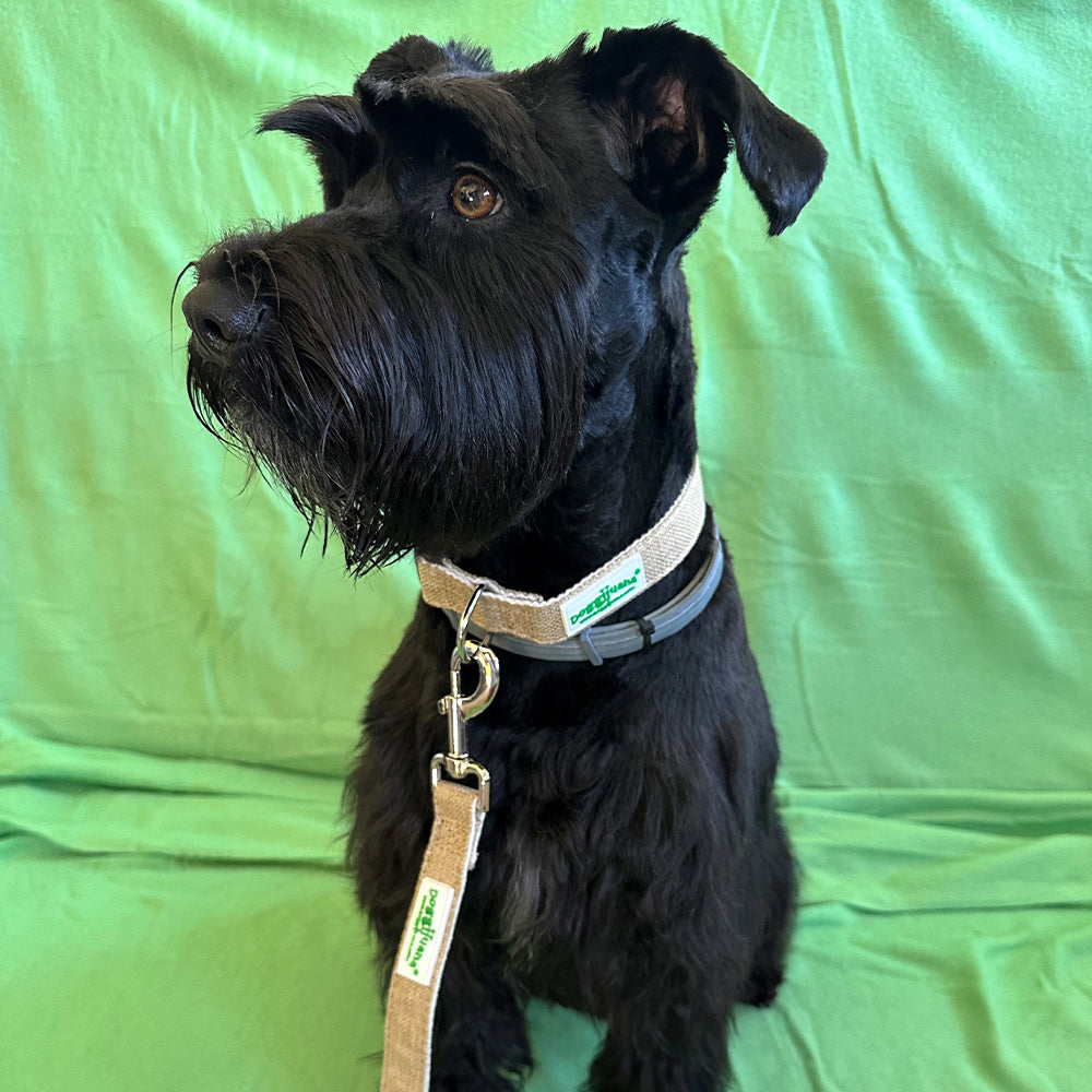 Doggijuana® Hemp Dog Collar