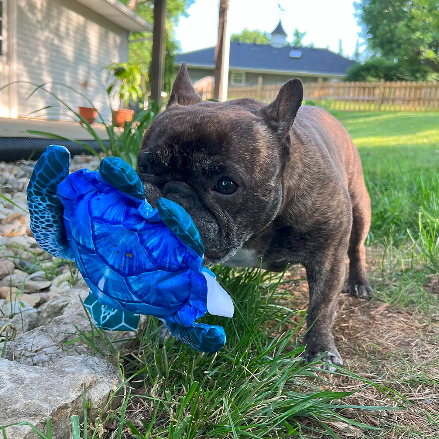 Get to the Beach Sea Turtle Refillable Dog Toy