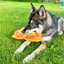 Husky chewing Doggijuana Pretzel Toy on the grass, showcasing double-layered fabric, rope core, and soothing Juananip for relaxing play.