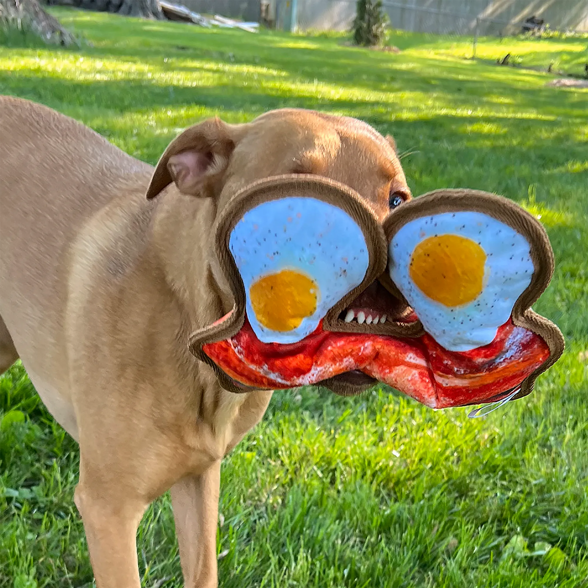 Dog playing with calming bacon and eggs dog toy, featuring a Juananip™ pocket to help relieve stress and encourage longer play.