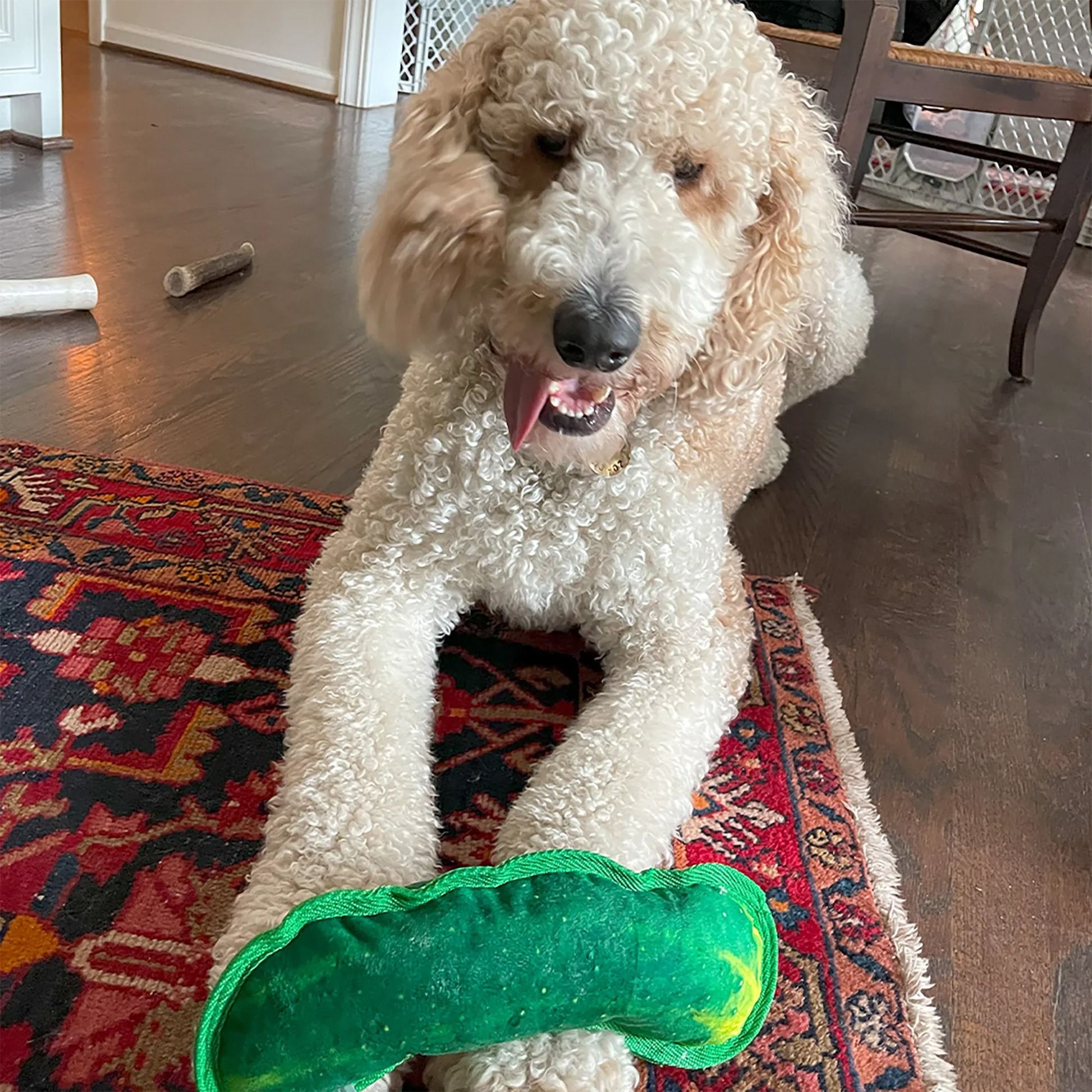 Dog lying on a rug indoors, licking its tongue while chewing on the dill pickle-shaped toy.