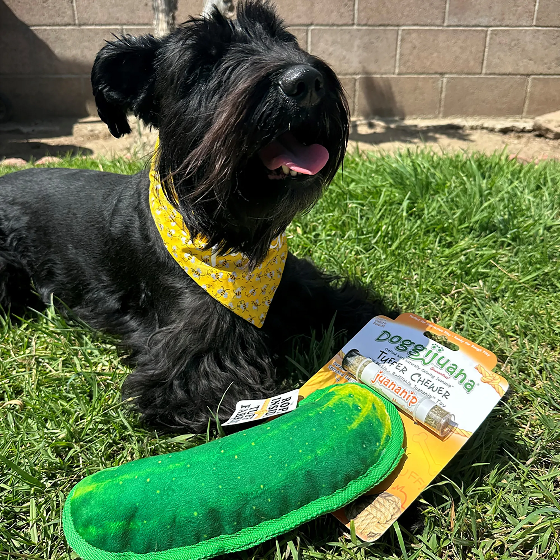 Dog with a yellow bandana playing outside with the dill pickle-shaped toy next to the product packaging.