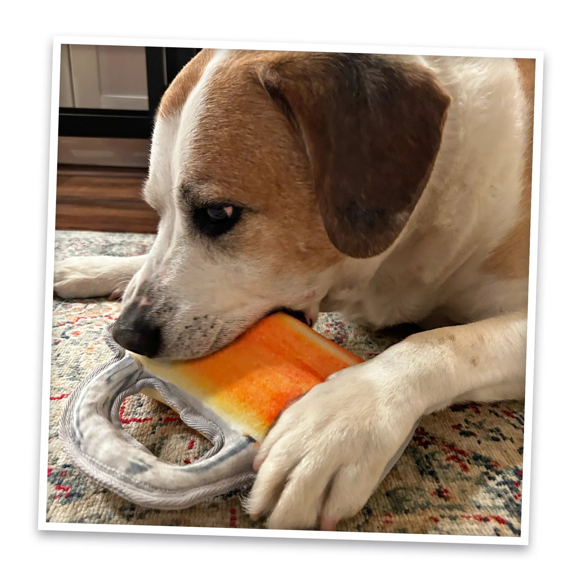 Dog enjoying a calming beer mug toy designed for soothing play with reinforced fabric and natural calming properties.