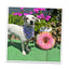 Tuffer Chewer Doggi Duo Bundle - Pink Donut & Juananip