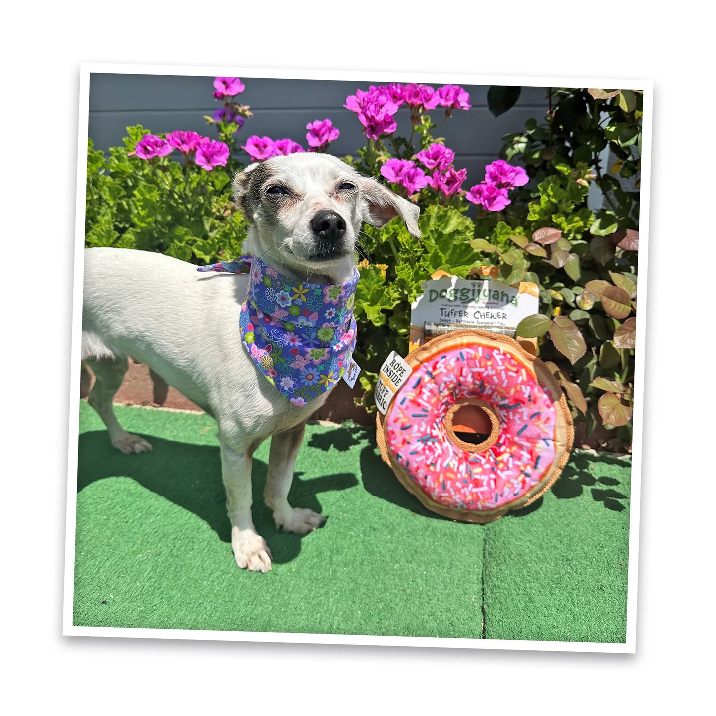 Tuffer Chewer Doggi Duo Bundle - Pink Donut & Juananip