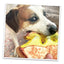 Tuffer Chewer Doggi Duo Bundle - Grilled Cheese & Juananip