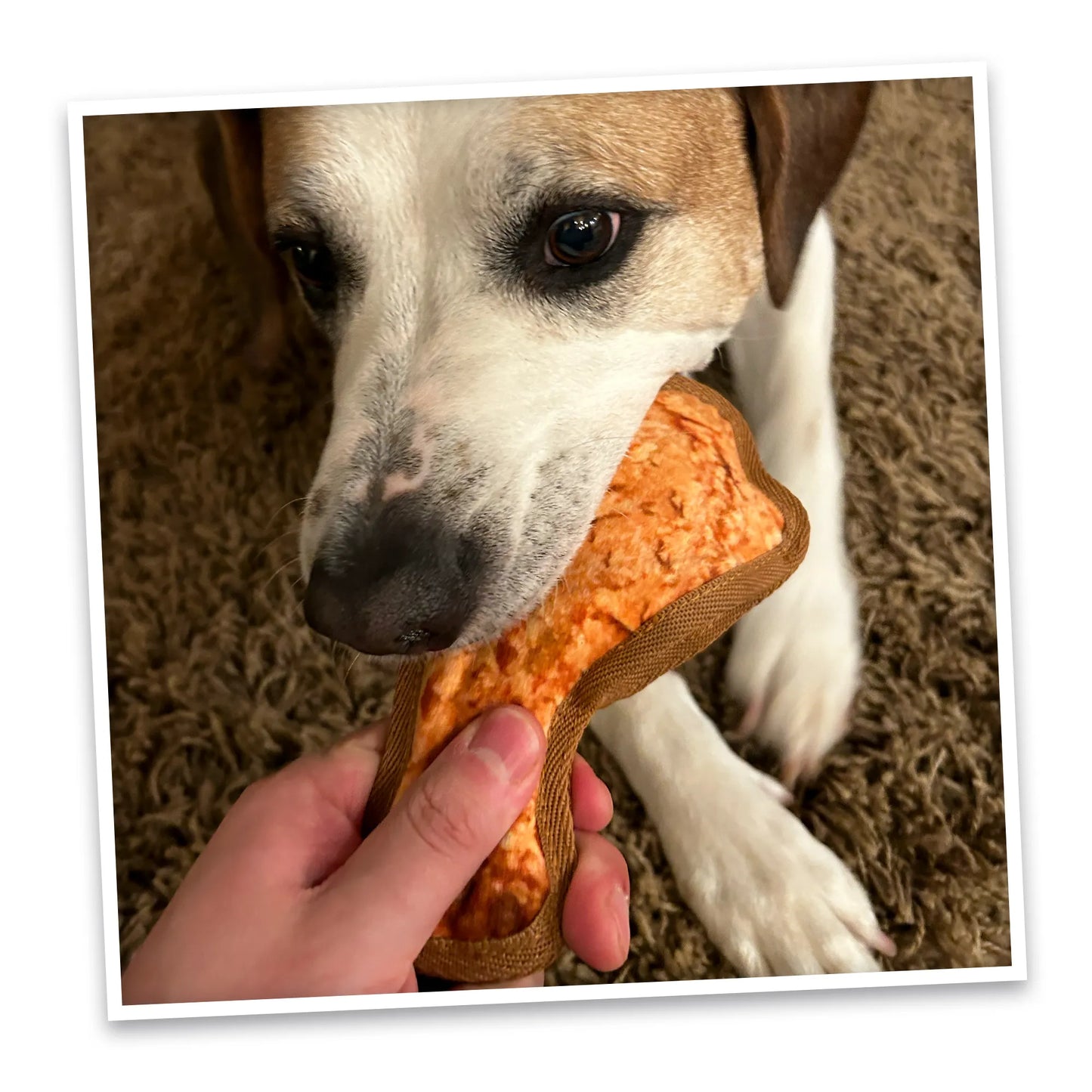 Tuffer Chewer Mini Doggi Duo Bundle - Chicken Leg
