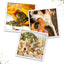 Tuffer Chewer Mini Doggi Duo Bundle - Pretzel Ring & Juananip