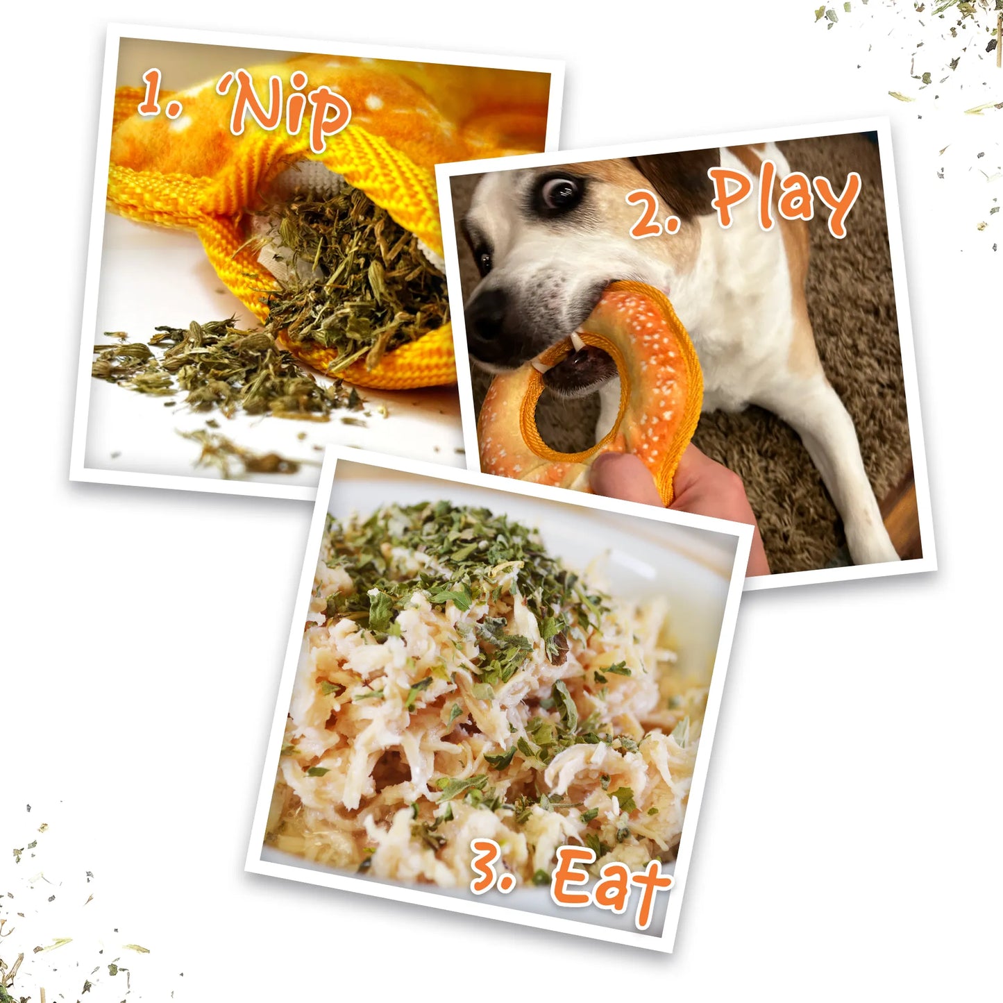 Tuffer Chewer Mini Doggi Duo Bundle - Beer Mug & Pretzel Ring Dog Toys
