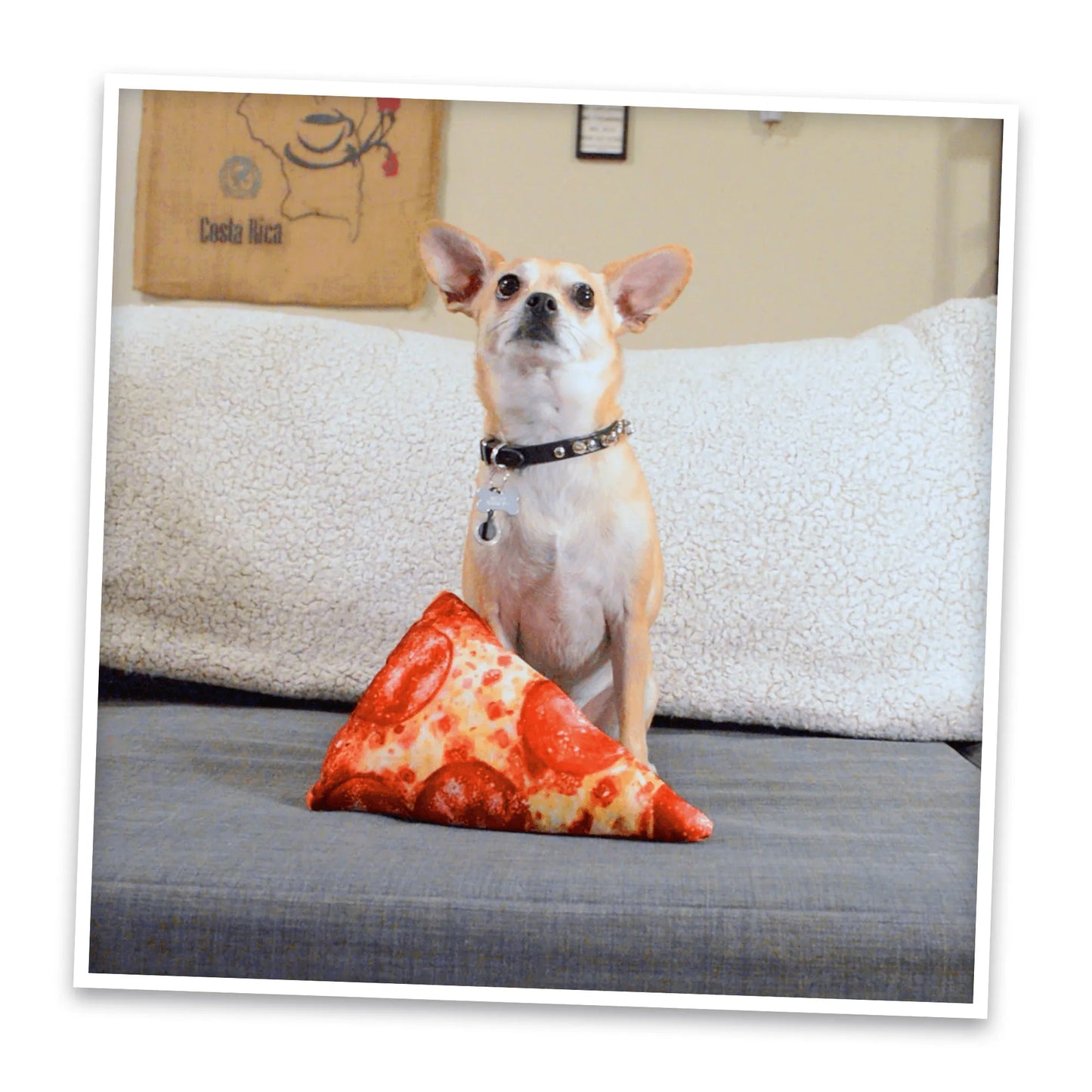 Get the Munchies Pizza Slice Refillable Dog Toy