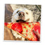 Get the Munchies Pizza Slice Refillable Dog Toy