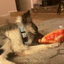 Get the Munchies Pizza Slice Refillable Dog Toy