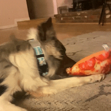 Get the Munchies Pizza Slice Refillable Dog Toy