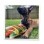 Get the Munchies Hot Dog Refillable Dog Toy