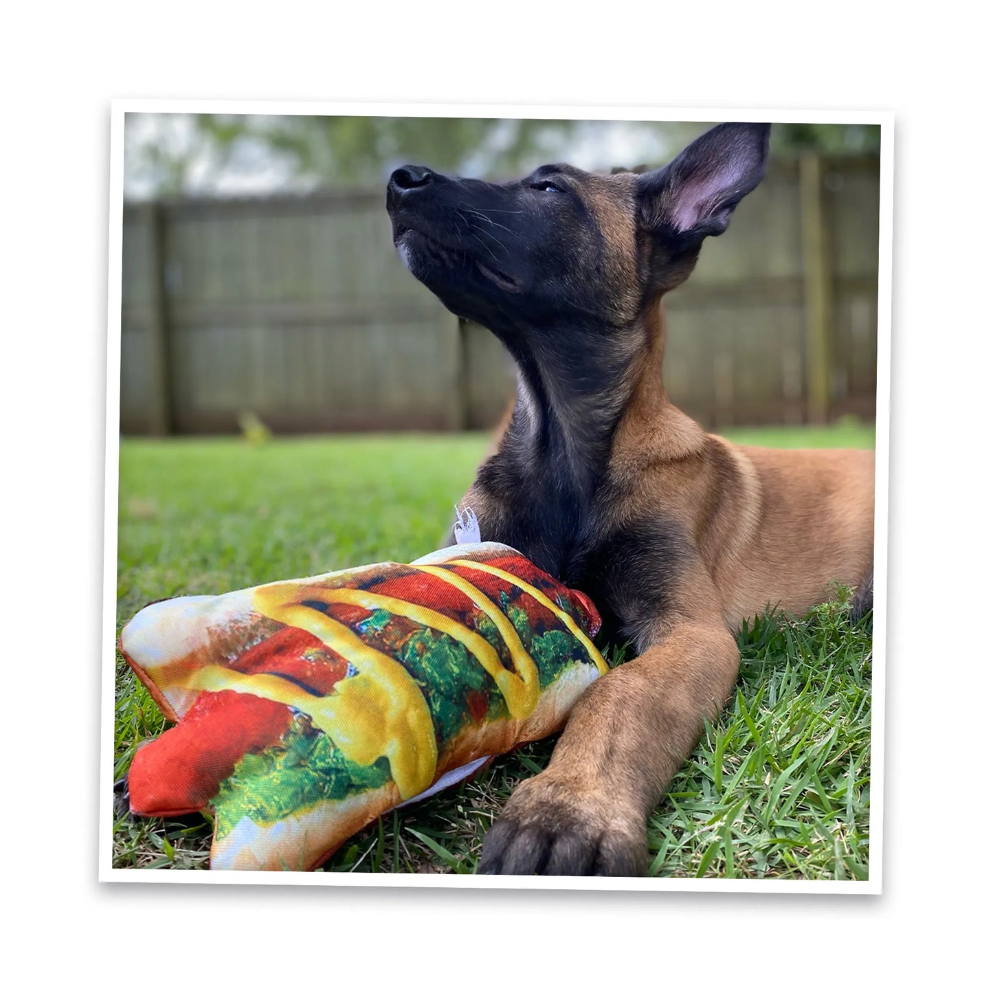 Get the Munchies Hot Dog Refillable Dog Toy