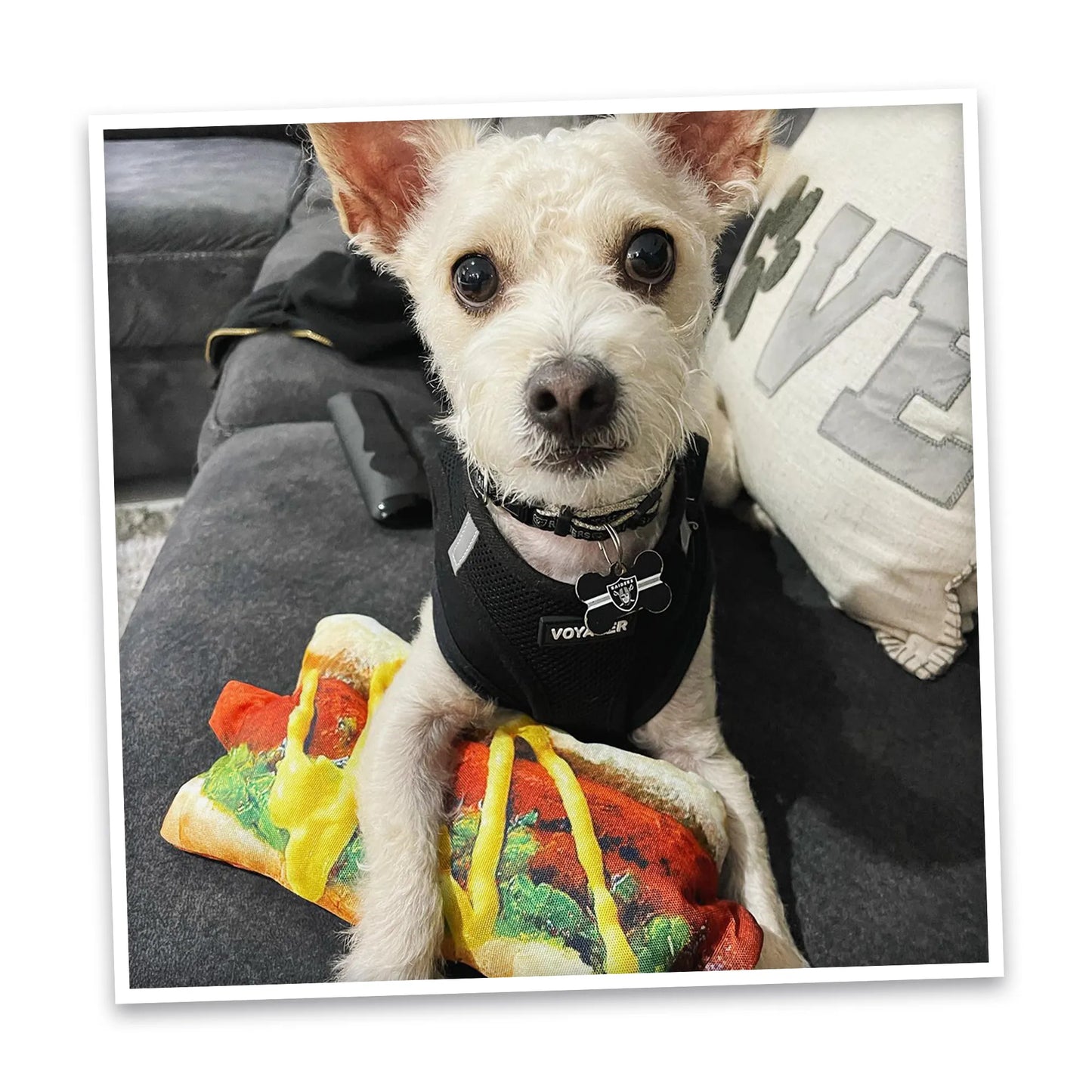 Get the Munchies Hot Dog Refillable Dog Toy