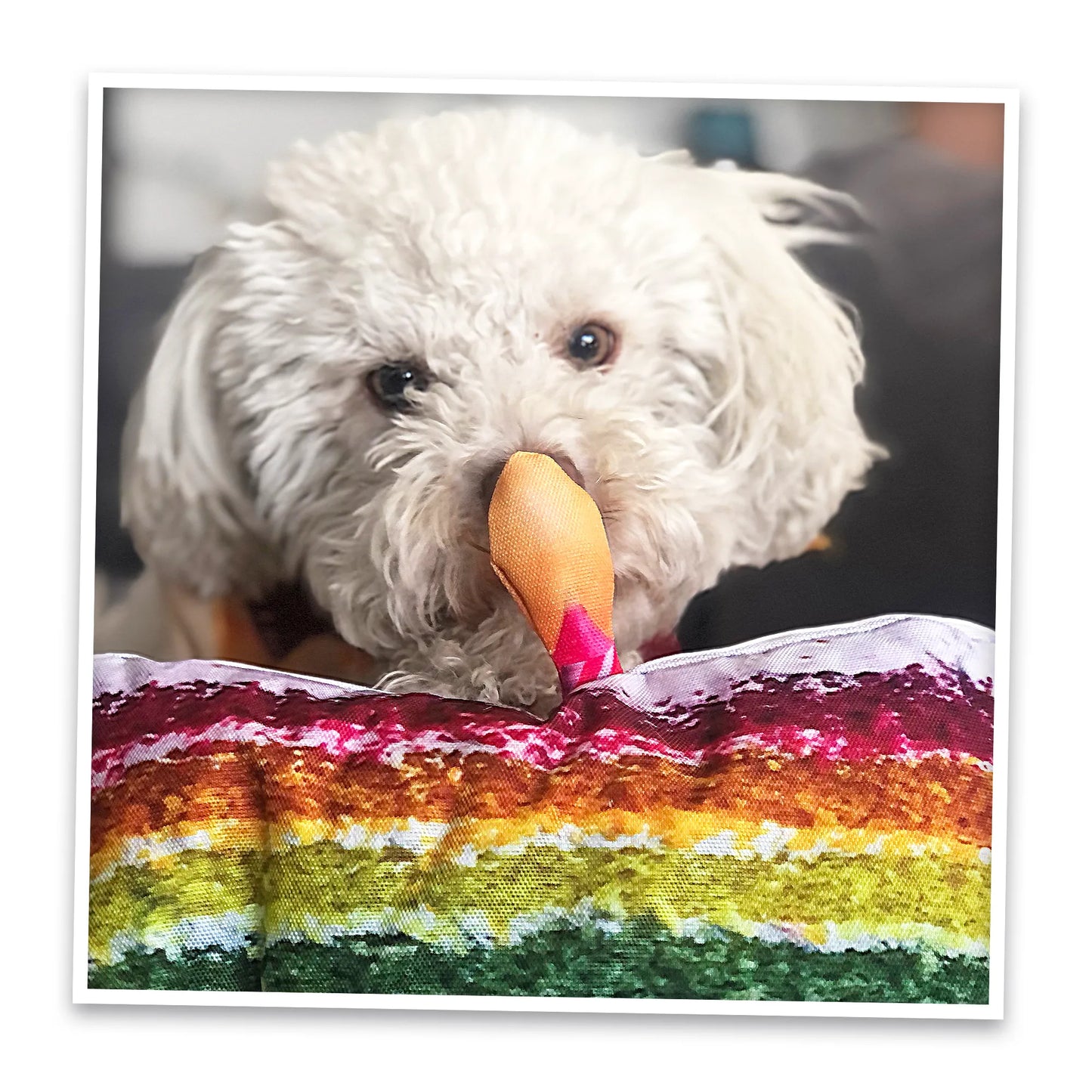 Get the Pawty Started Cake Slice Refillable Dog Toy