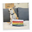 Get the Pawty Started Cake Slice Refillable Dog Toy