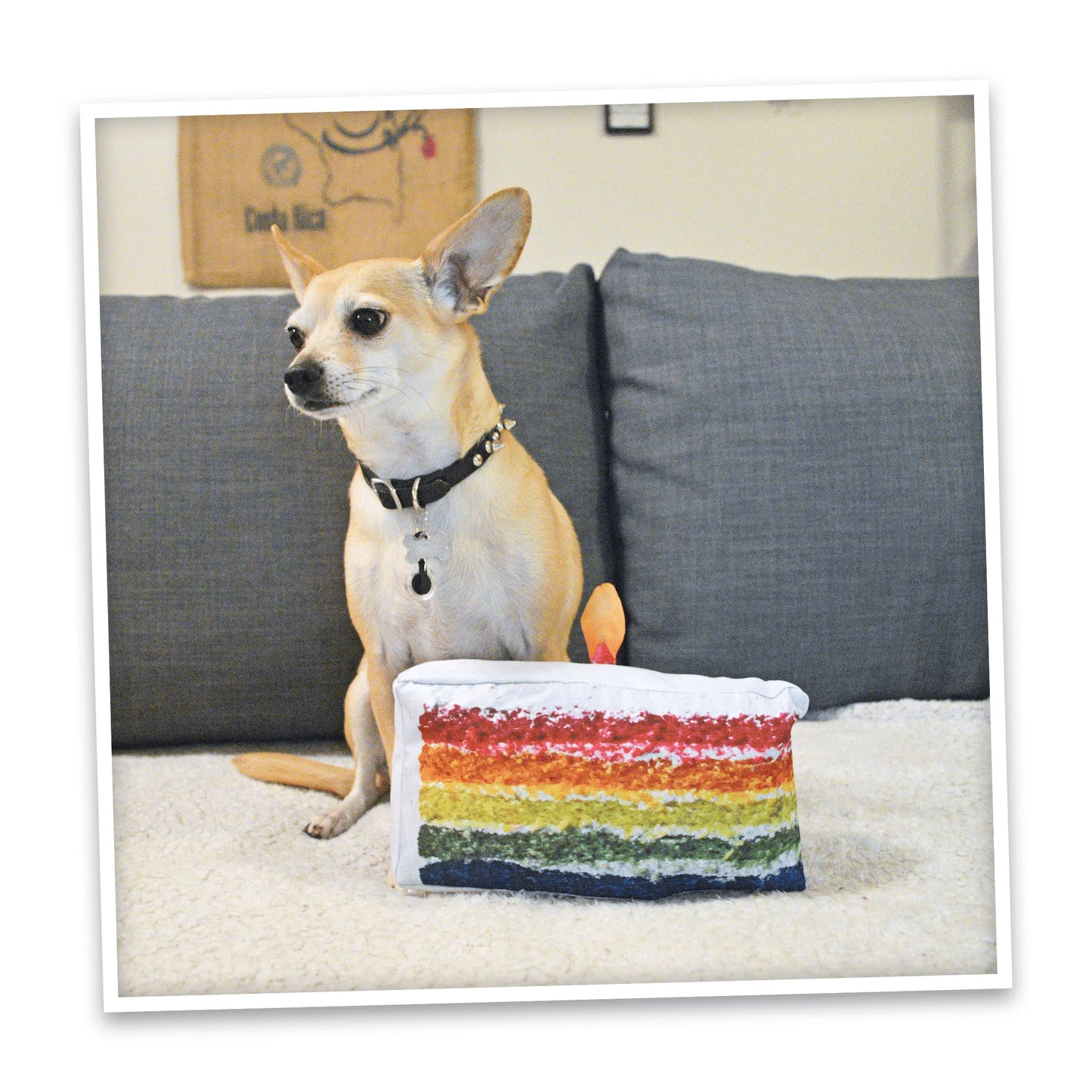 Get the Pawty Started Cake Slice Refillable Dog Toy