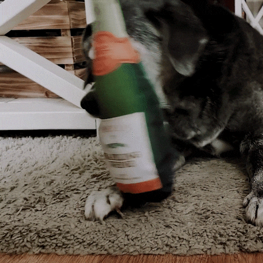 Get the Pawty Started Barkling Whine Champagne Refillable Dog Toy