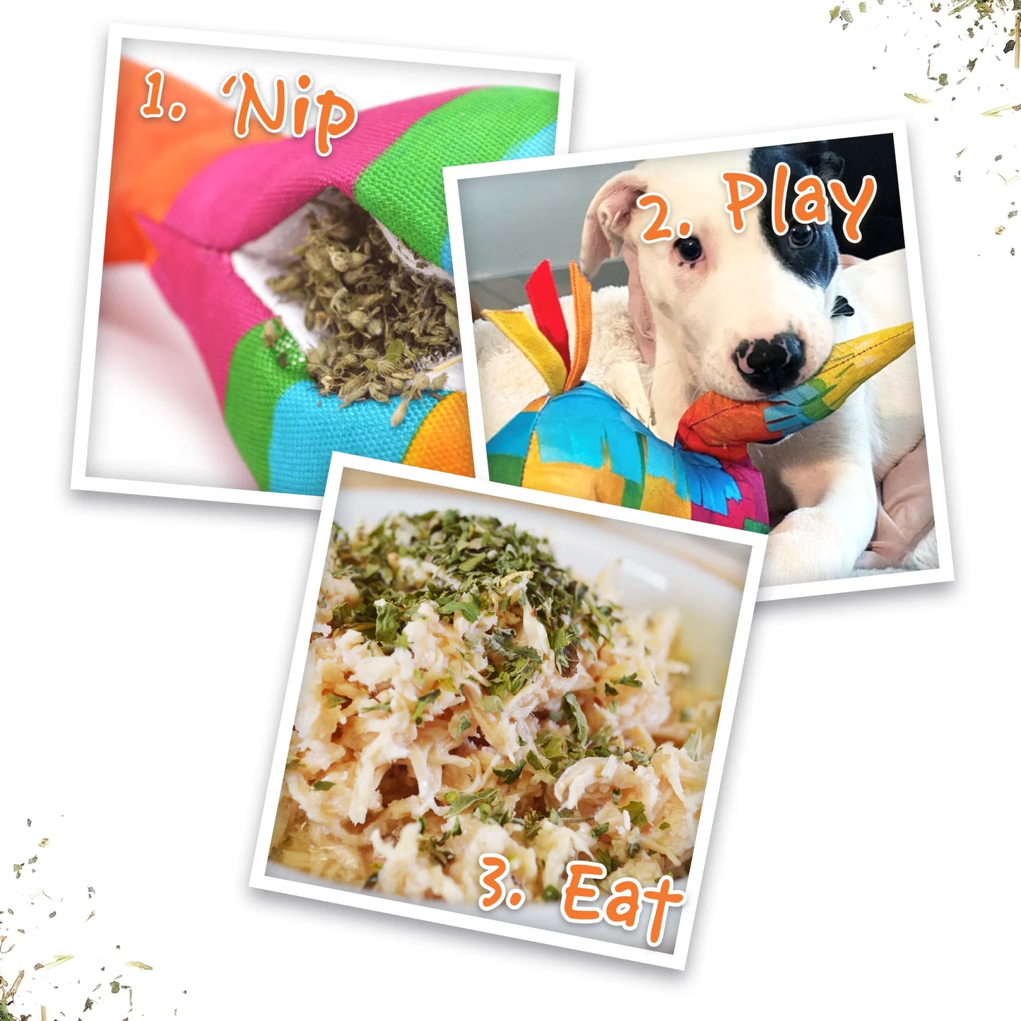 Get the Pawty Started Llama Piñata Refillable Dog Toy