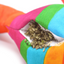 Get the Pawty Started Llama Piñata Refillable Dog Toy