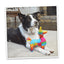 Get the Pawty Started Llama Piñata Refillable Dog Toy