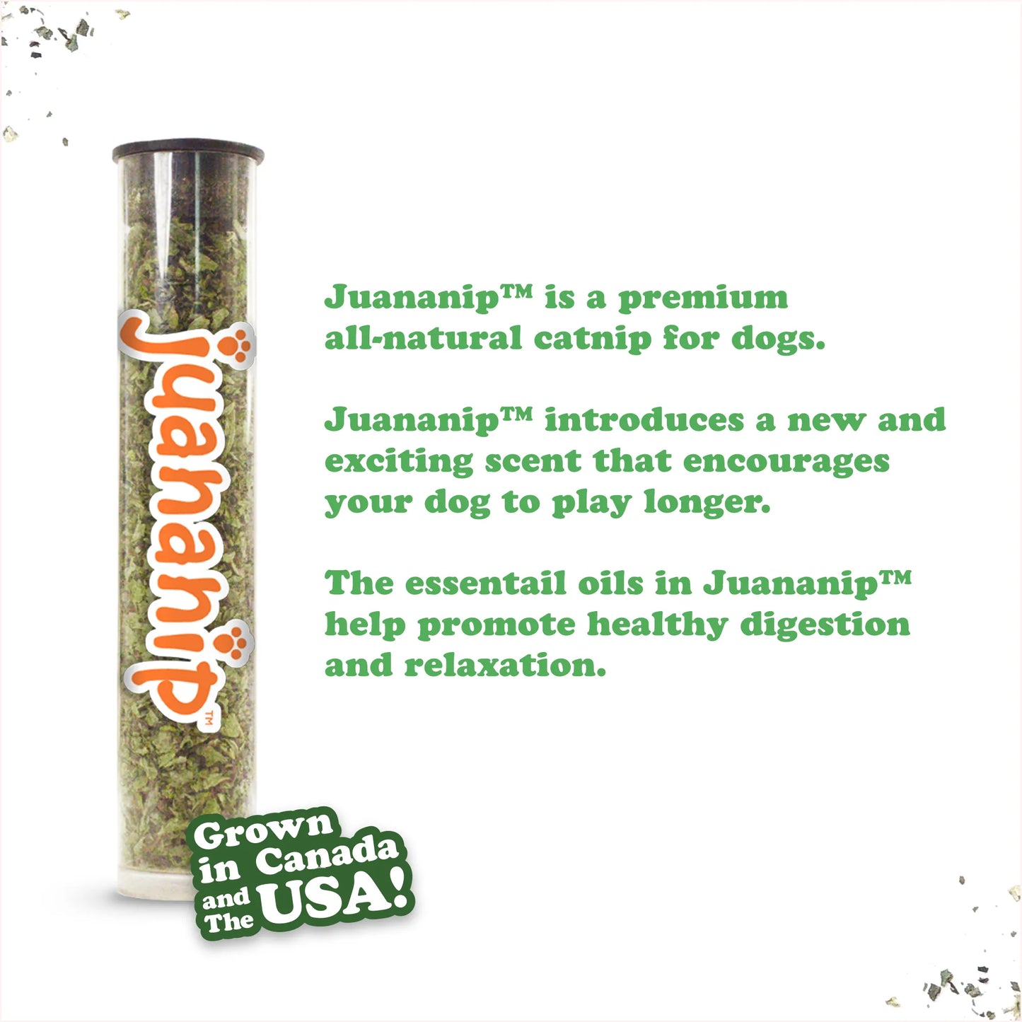 Get Outside Squirrel Refillable Dog Toy