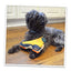 Get Outside Hiking Boot Refillable Dog Toy