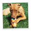 Get Outside Hiking Boot Refillable Dog Toy