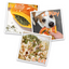 Tuffer Chewer Mini Pumpkin Spiced Latte & Juananip Bundle