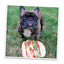 Get the Munchies Cheeseburger Refillable Dog Toy