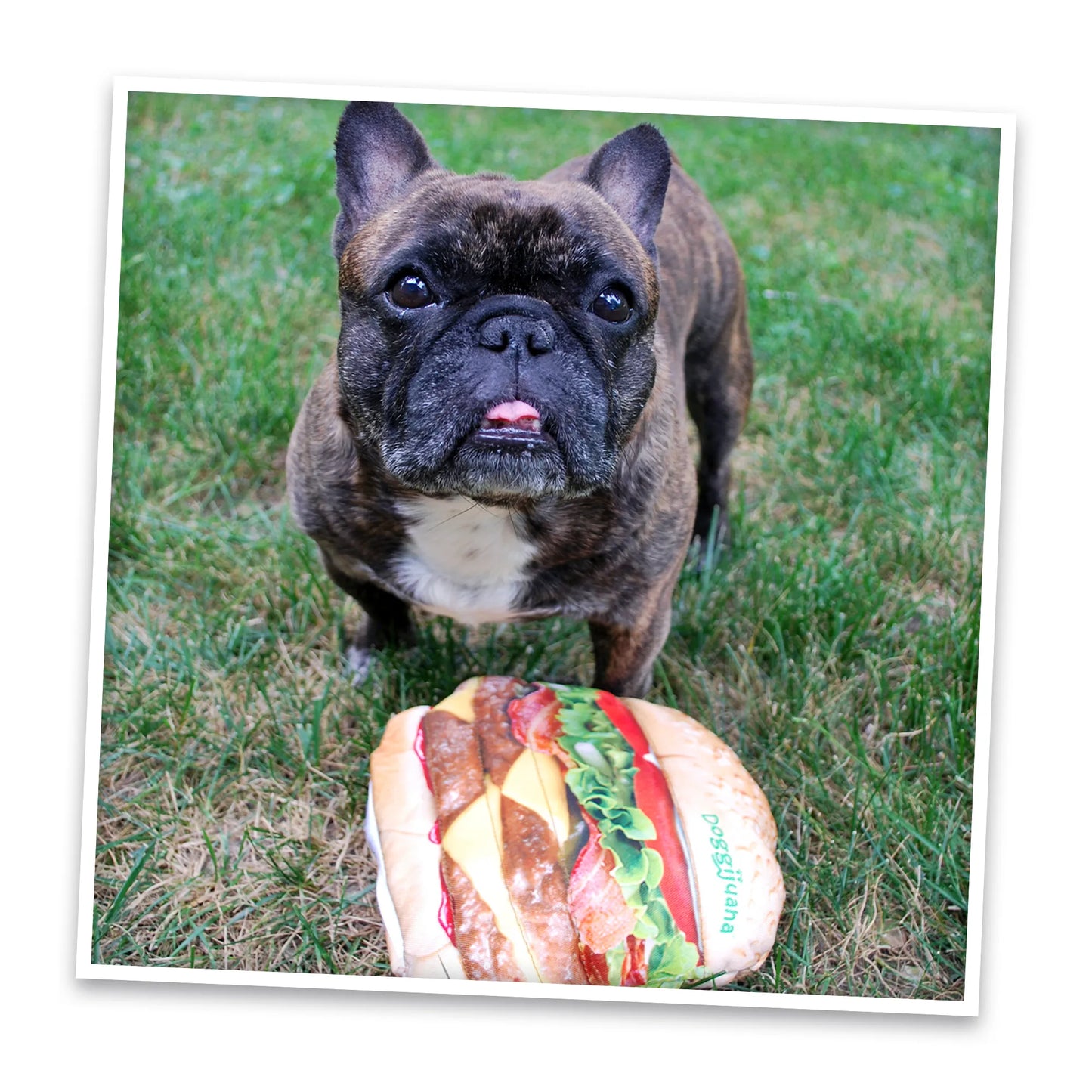 Get the Munchies Cheeseburger Refillable Dog Toy