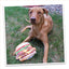 Get the Munchies Cheeseburger Refillable Dog Toy