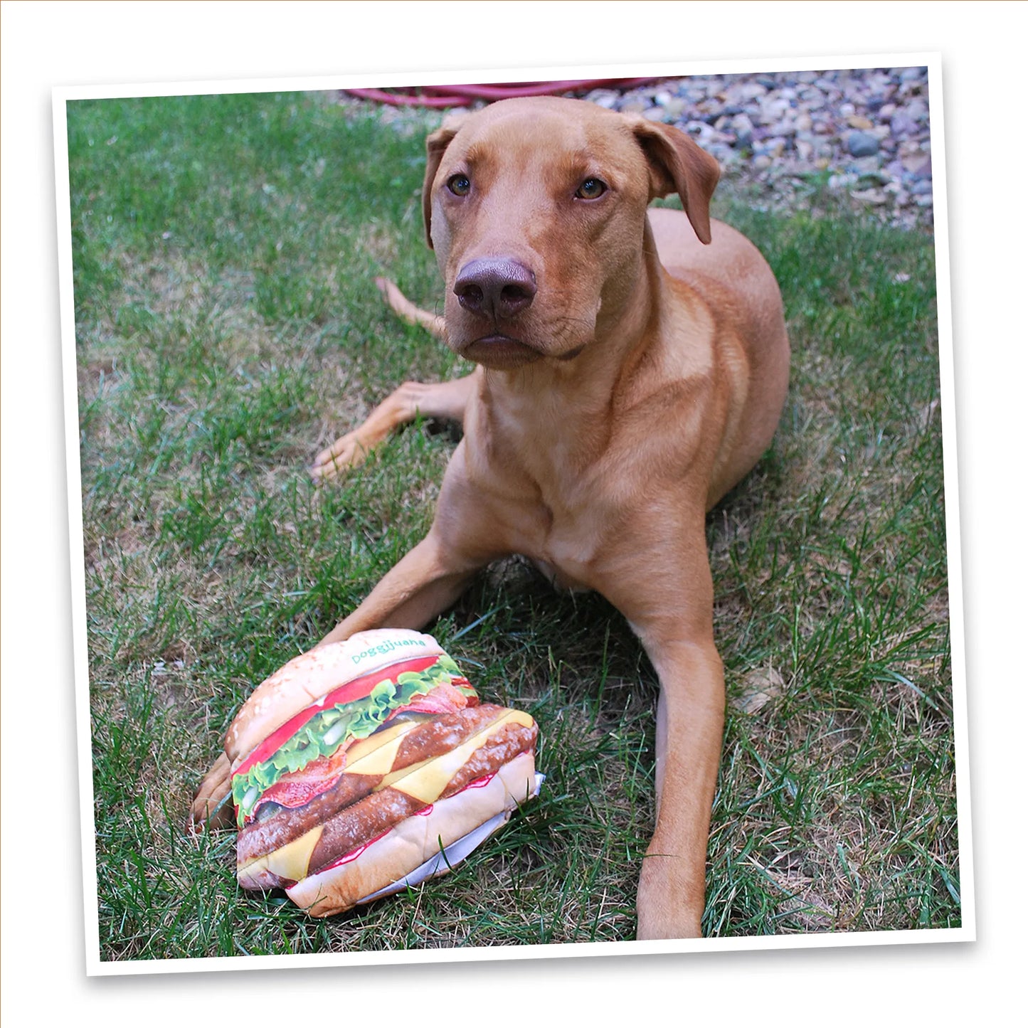 Get the Munchies Cheeseburger Refillable Dog Toy