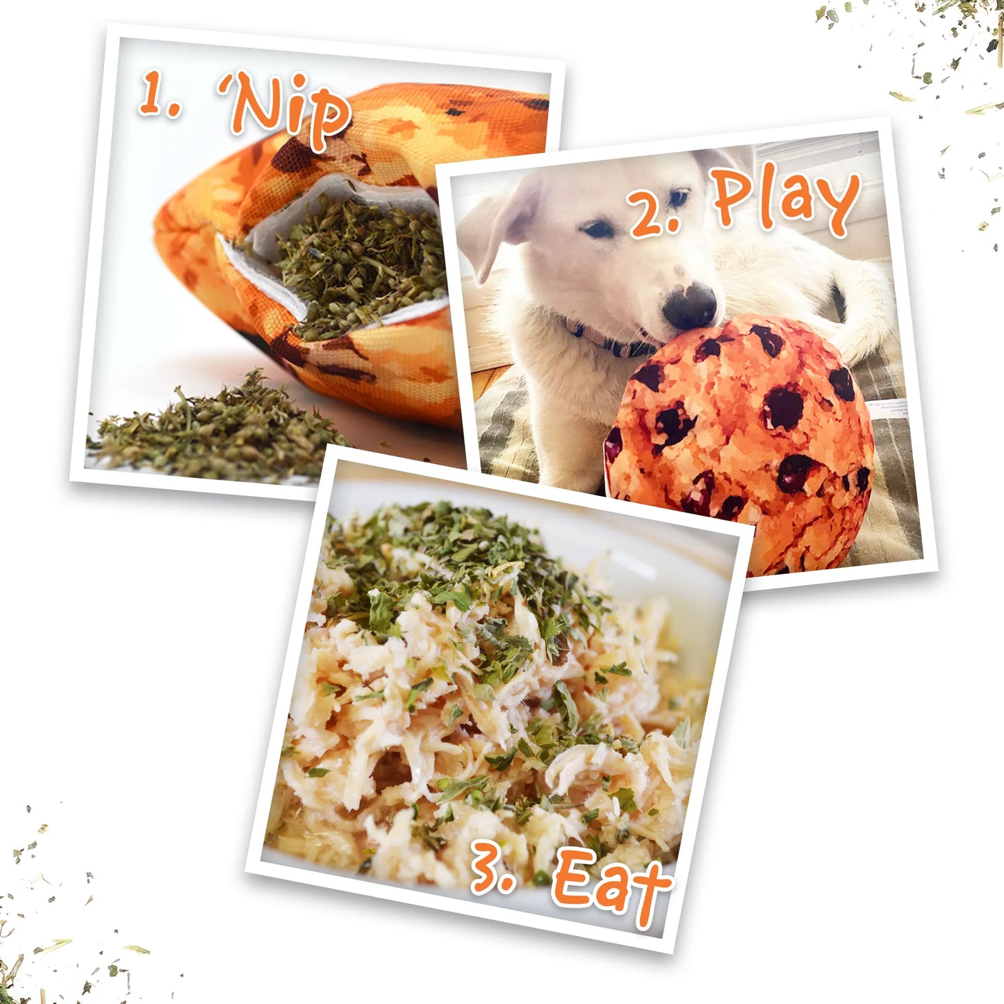 Get the Munchies Cookie Refillable Dog Toy
