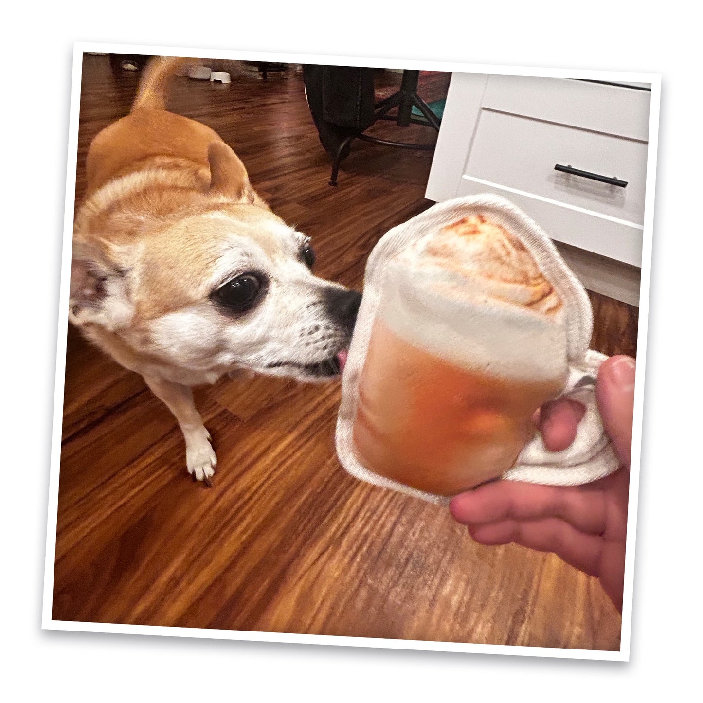 Tuffer Chewer Mini Pumpkin Spiced Latte & Juananip Bundle
