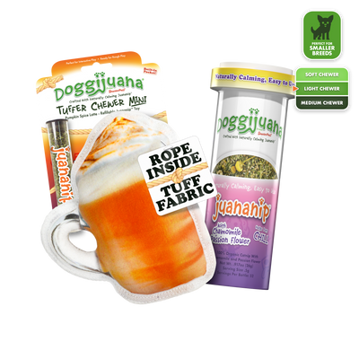 Tuffer Chewer Mini Pumpkin Spiced Latte & Juananip Bundle